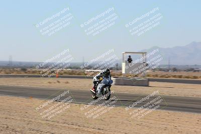 media/Jan-14-2024-SoCal Trackdays (Sun) [[2e55ec21a6]]/Back Straight Speed Pans (1145am)/